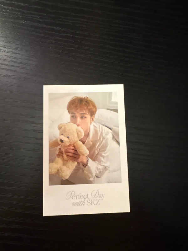 Stray Kids 2024 SEASON'S GREETINGS - Perfect Day with SKZ