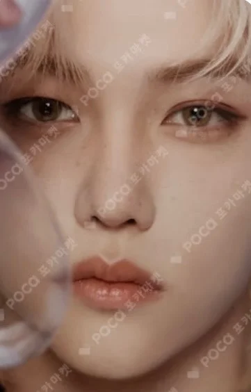 DICON D'FESTA MINI EDITION : Stray Kids Felix