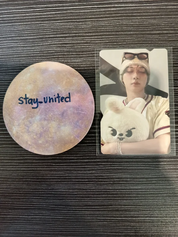 Stray Kids World Tour dominATE : celebrATE SKZOO PHOTOCARD TINCASE