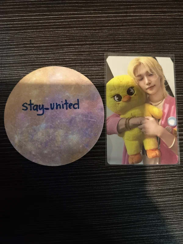 Stray Kids World Tour dominATE : celebrATE SKZOO PHOTOCARD TINCASE