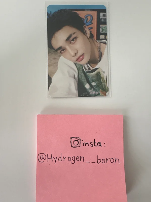 Stray Kids World Tour dominATE : celebrATE PHOTOCARD HOLDER