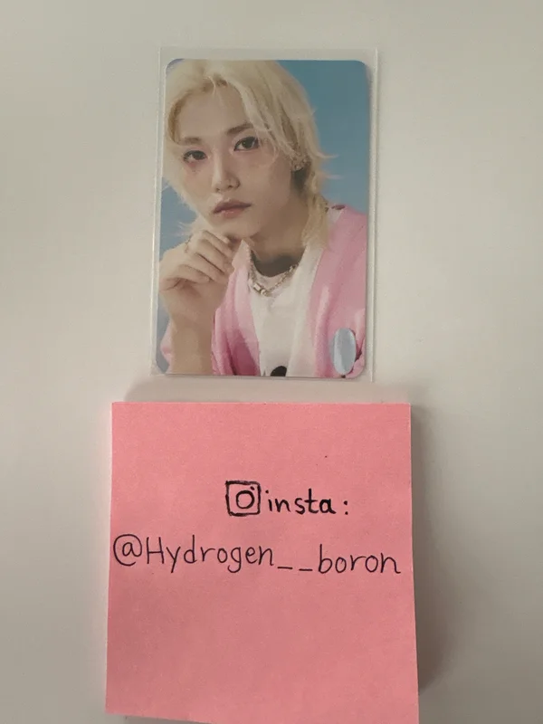 Stray Kids World Tour dominATE : celebrATE PHOTOCARD HOLDER