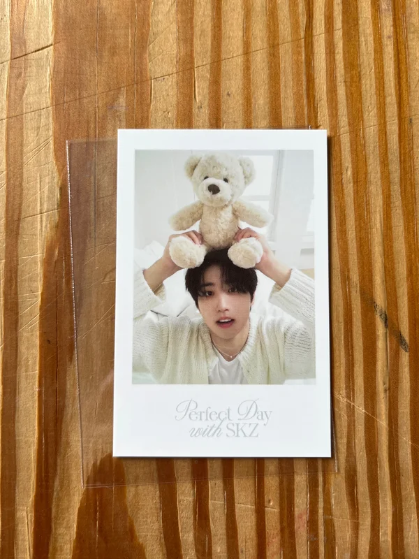 Stray Kids 2024 SEASON'S GREETINGS - Perfect Day with SKZ
