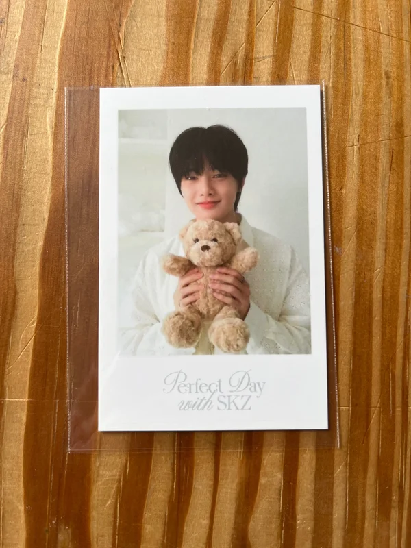 Stray Kids 2024 SEASON'S GREETINGS - Perfect Day with SKZ