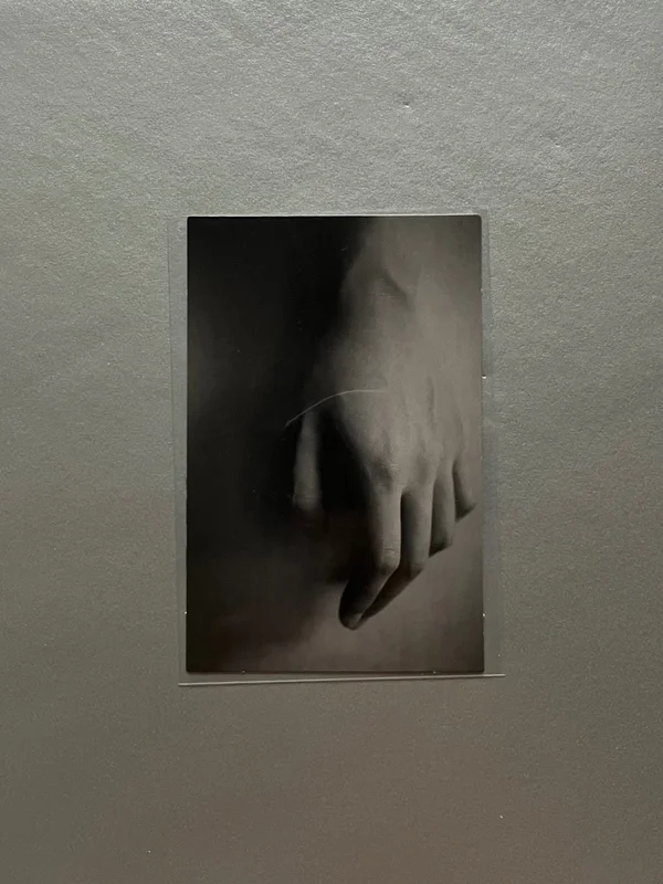 Indigo (Book Edition) Hand