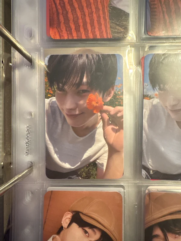 ORANGE BLOOD EN-CONNECT Night