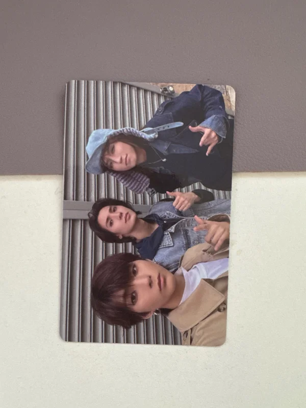LIVE and FALL Tabloid ver.