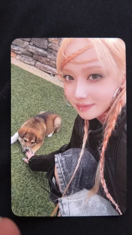 Armageddon Zine Ver.