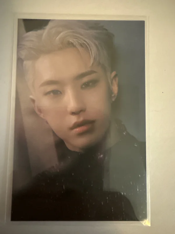 Spider Trading Card Set