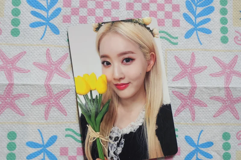 Young-Luv.Com Jewel Case Ver. Withdrama