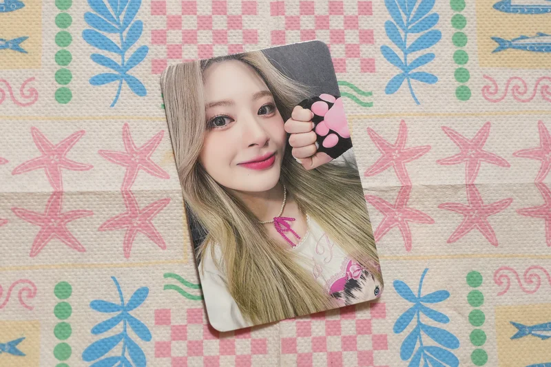 Teddy Bear WHOSFAN