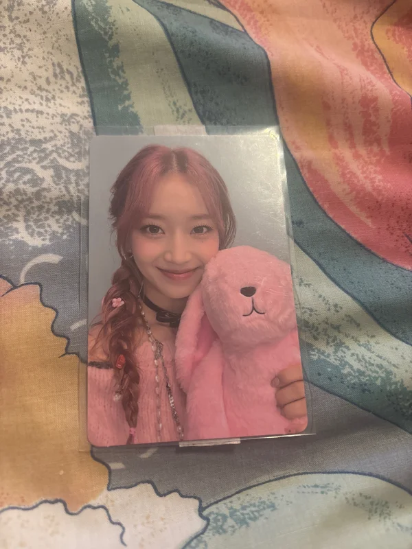Teddy Bear TOGETHER Ver.