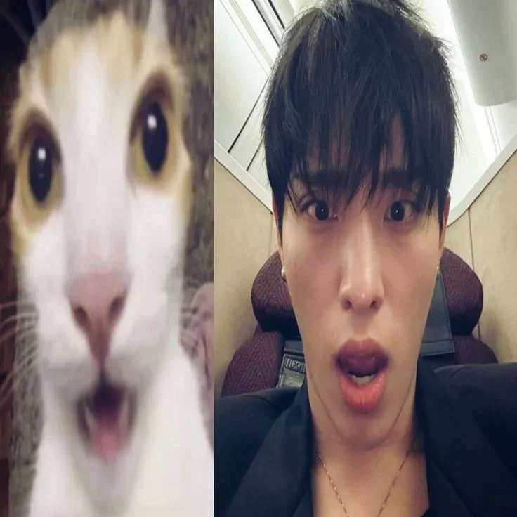 taebasco