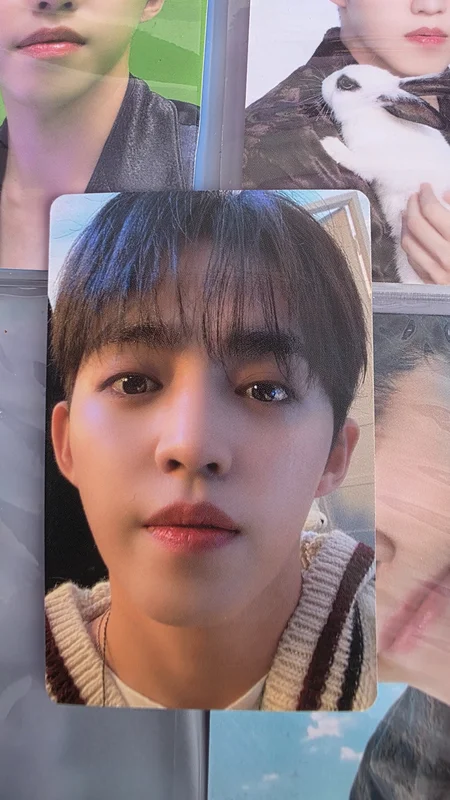 DICON D'FESTA MINI EDITION : SEVENTEEN