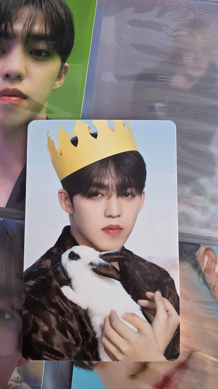 DICON D'FESTA MINI EDITION : SEVENTEEN