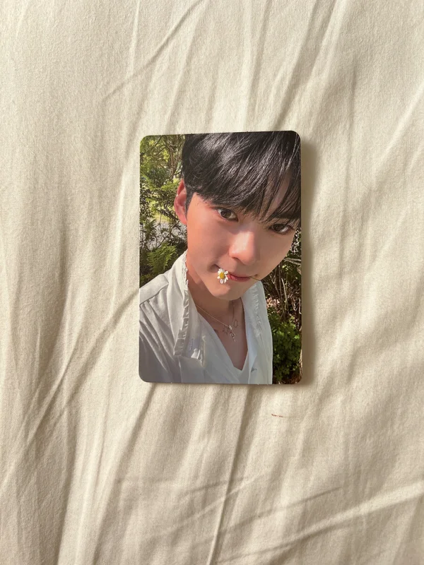 YOUTH IN THE SHADE SOUND WAVE