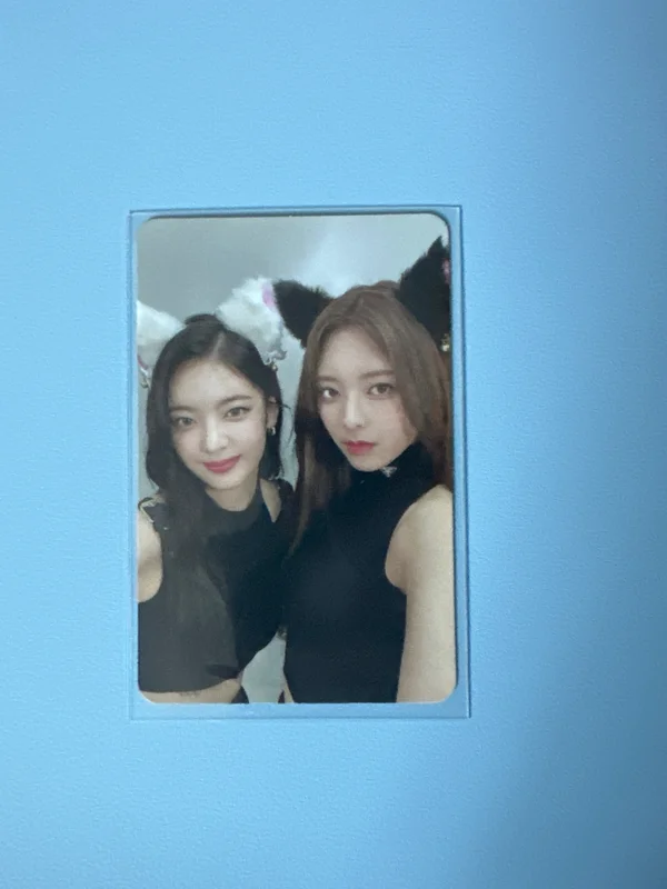 CHESHIRE STANDARD EDITION