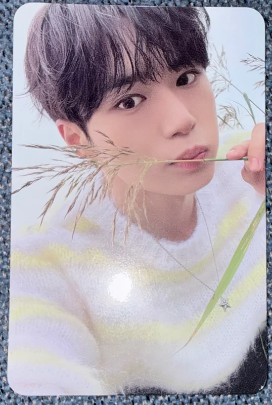 EUPHORIA STAR ROAD ver.