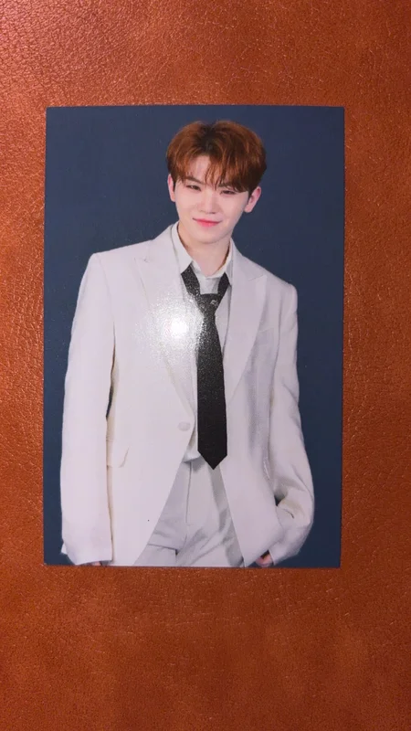 SEVENTEEN WORLD TOUR ODE TO YOU LANYARD SET