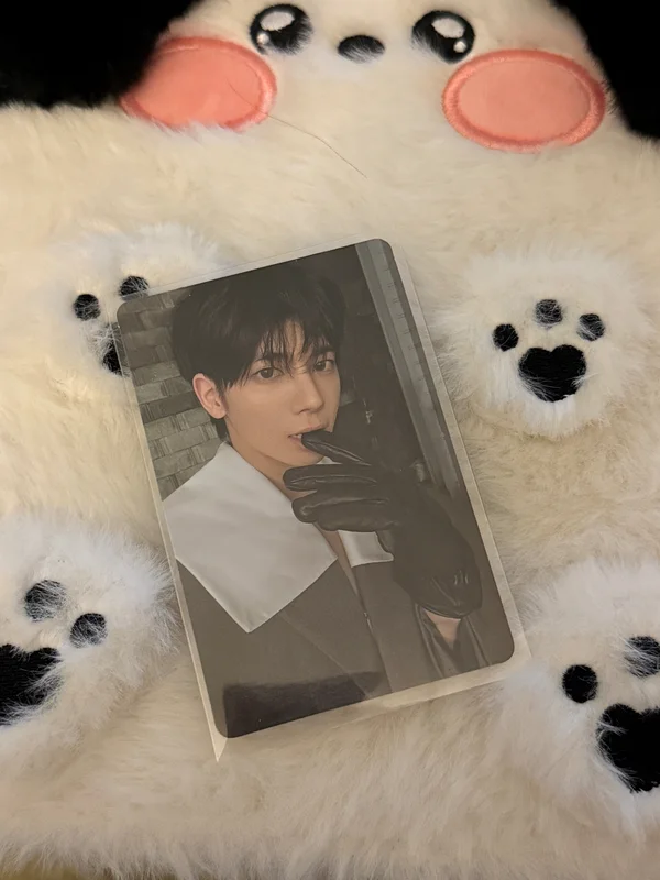 The Star Chapter: SANCTUARY KNIGHT Ver.