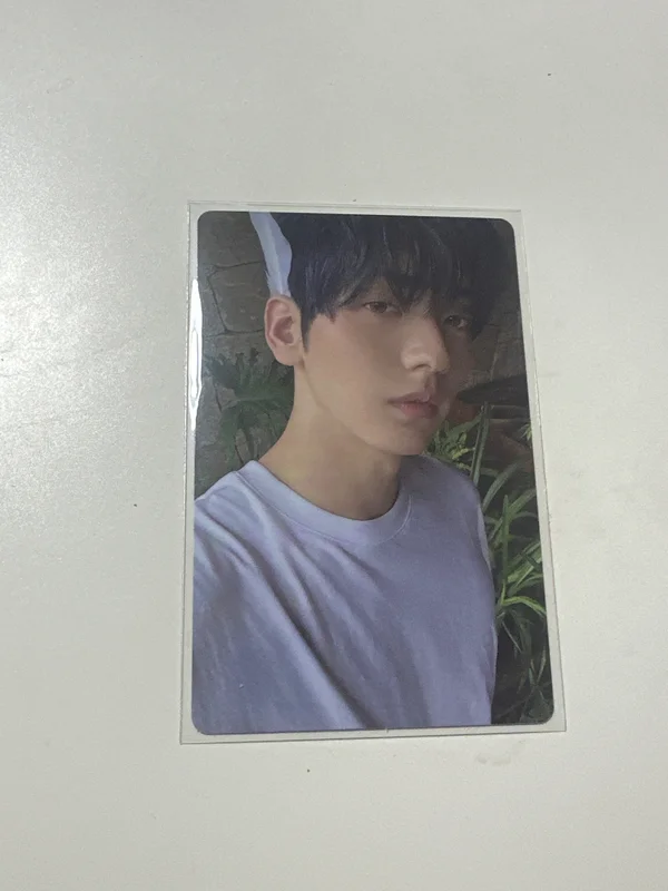 The Star Chapter: SANCTUARY ANGEL Ver.