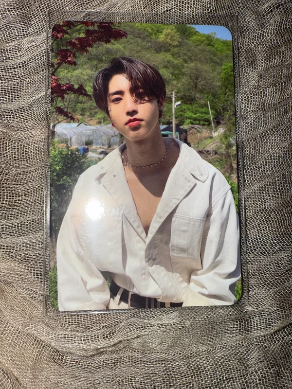 MAXIDENT Target Exclusive