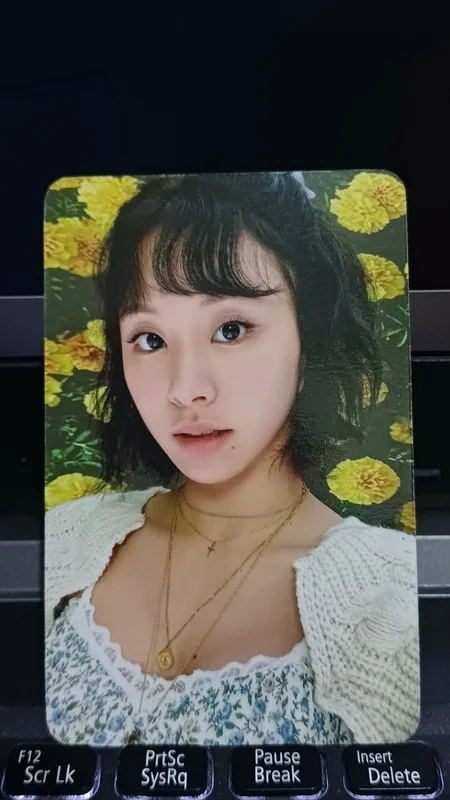 DICON D'FESTA MINI EDITION:TWICE