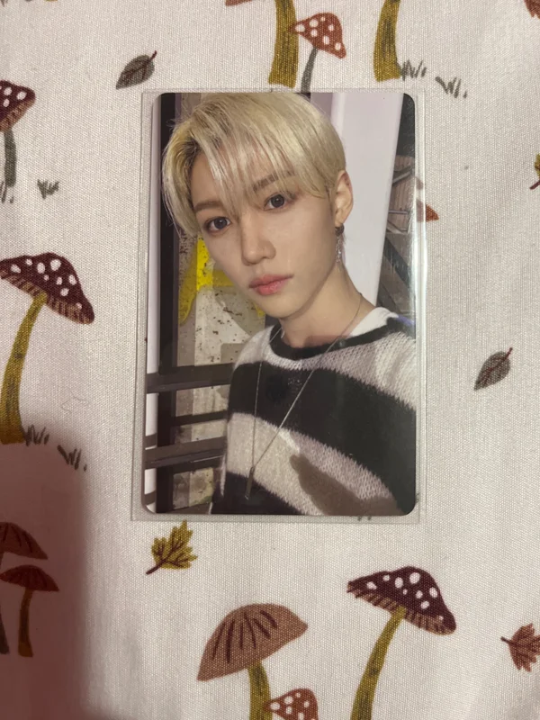 Stray Kids 2nd World Tour MANIAC in SEOUL DVD Felix