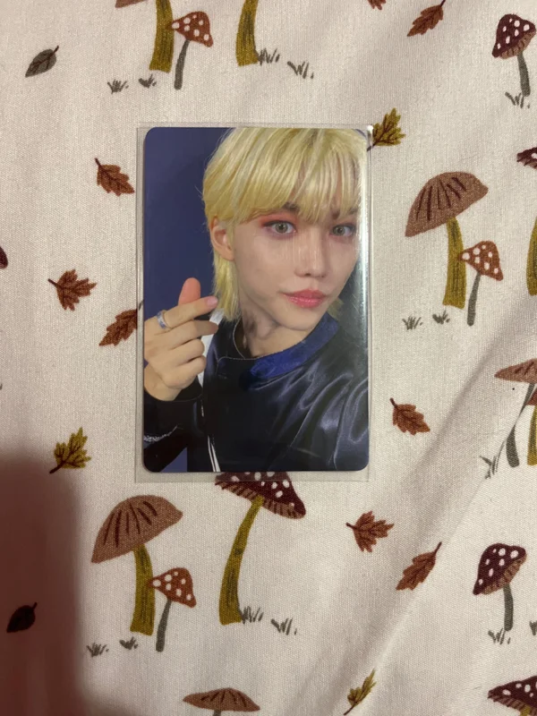 DICON D'FESTA MINI EDITION : Stray Kids Felix