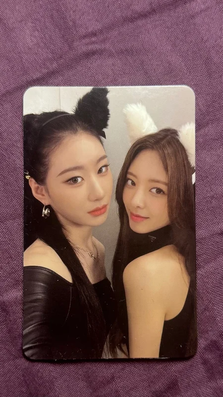 CHESHIRE STANDARD EDITION