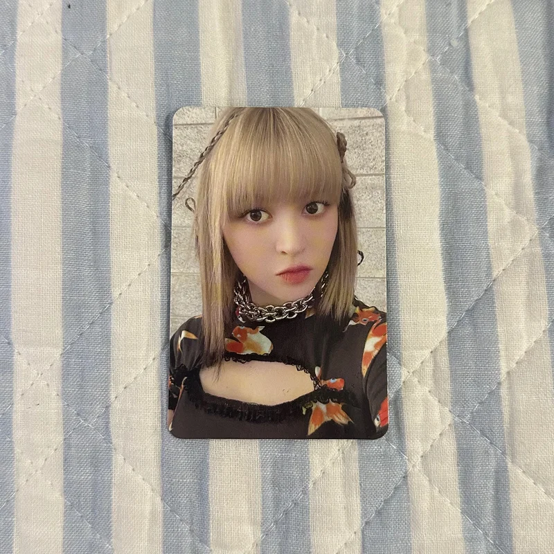 lily entwurf light ver photocard