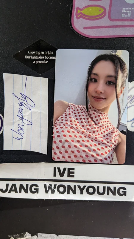 THIS IS FOR POLAROID ver. IS ver.