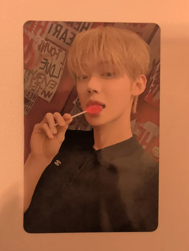 The Star Chapter: SANCTUARY LOVER Ver.