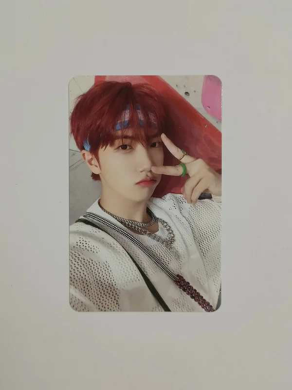 SUN SEEKER CATCHER VER.