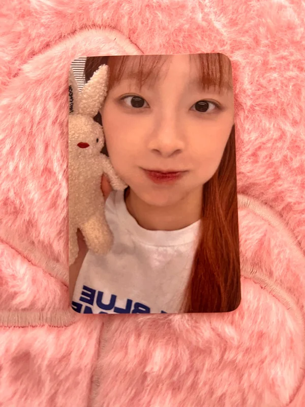 Howl chuu EVERLINE