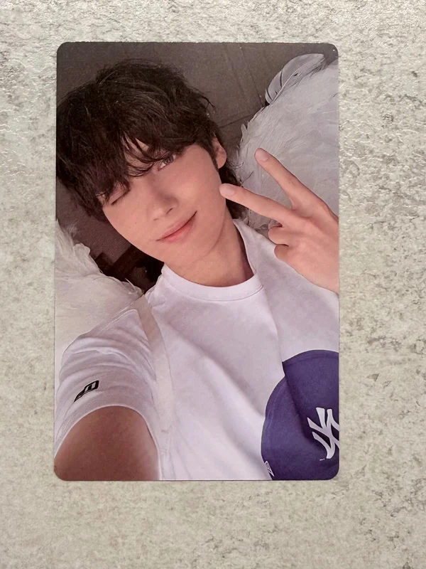 The Star Chapter: SANCTUARY Merch Ver.