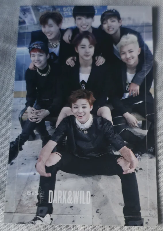 DARK&WILD