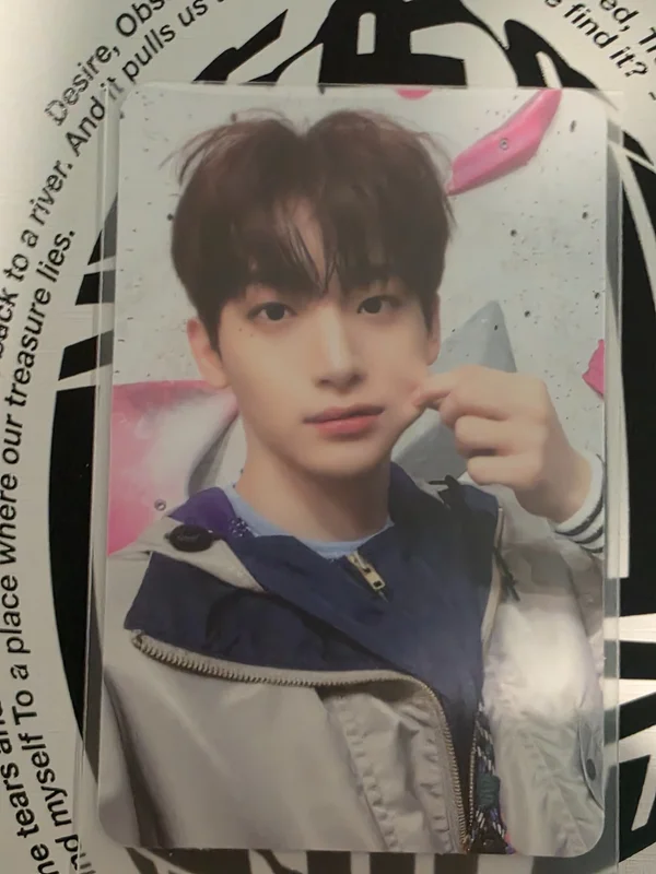SUN SEEKER CATCHER VER.