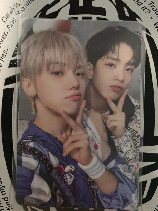 SUN SEEKER CATCHER VER.