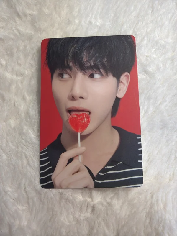 The Star Chapter: SANCTUARY LOVER Ver.