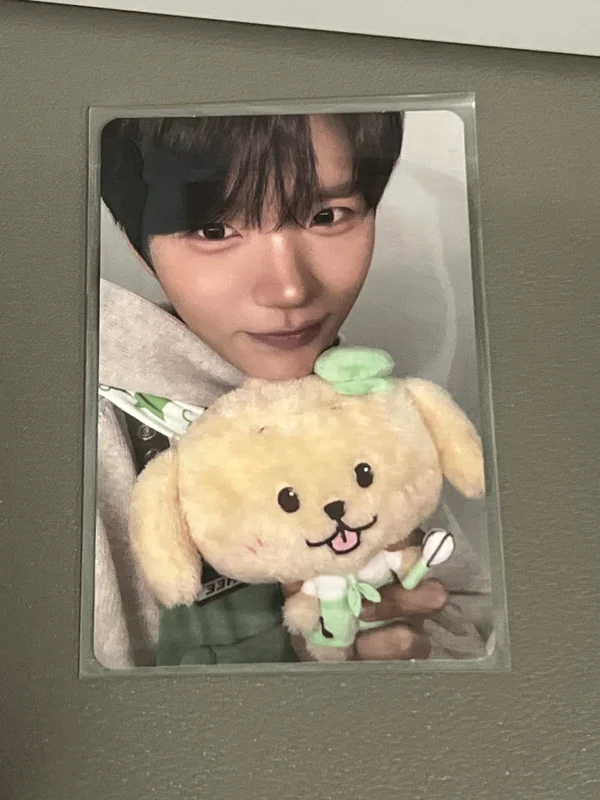 NCT WISH POP UP [WISH BAKERY] RANDOM PATISSIER CARD SET