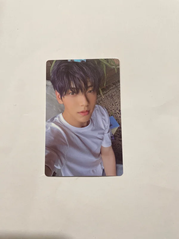 The Star Chapter: SANCTUARY Merch Ver.