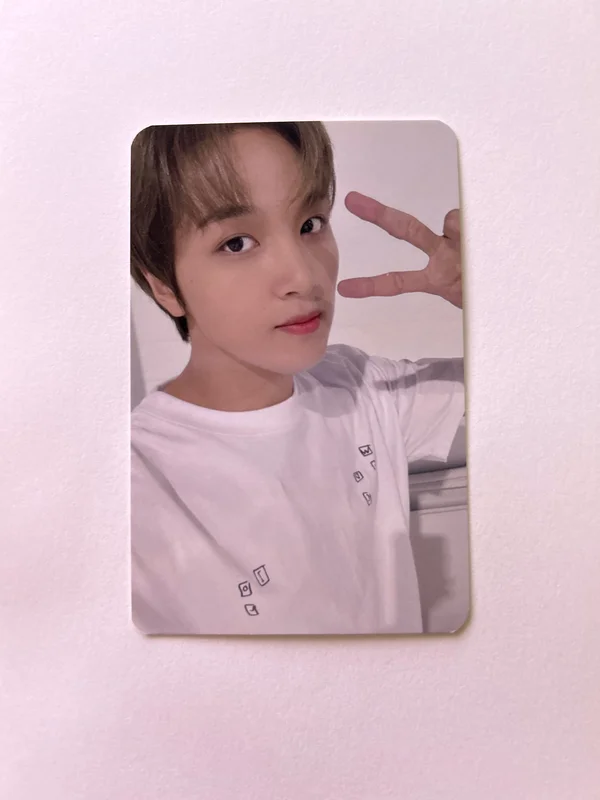 SLOWACID X TEDDYISLAND GRAY ver.