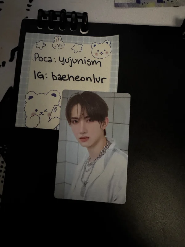 HOUSE OF TRICKY : WRECKING THE HOUSE POCAALBUM