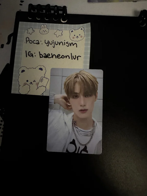 HOUSE OF TRICKY : WRECKING THE HOUSE POCAALBUM