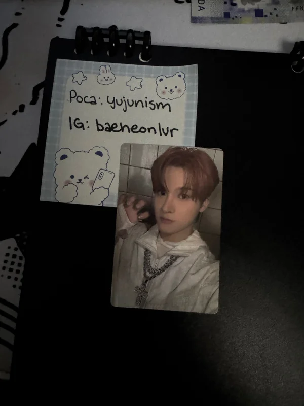 HOUSE OF TRICKY : WRECKING THE HOUSE POCAALBUM