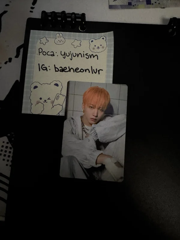 HOUSE OF TRICKY : WRECKING THE HOUSE POCAALBUM