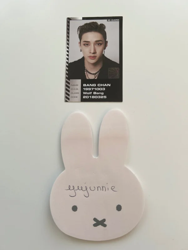 Bangchan straykids ordinary ID