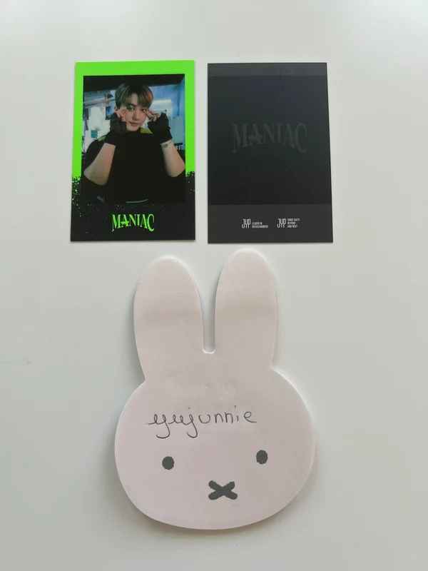 Stray Kids 2nd World Tour MANIAC in Seoul SKZOO MERCH PRE-ORDER SPECIAL GIFT
