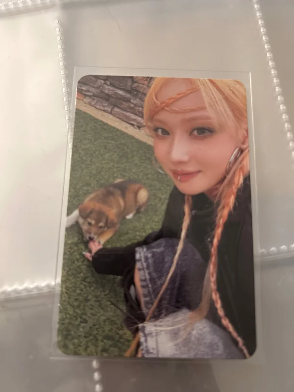 Armageddon Zine Ver.